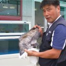 늑도낚시편의점 이미지