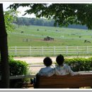 원당목장 이미지