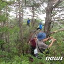 구봉팔문 신문기사 이미지