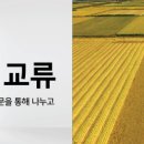우리씨앗농사협동조합