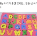 고치집 이미지