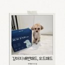 아띠동물병원 | [제품리뷰] 동물 병원 전용 오드패드, 표준형 강아지 패드 사용 후기