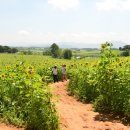 공음농장 이미지