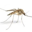 어울림동물병원 이미지