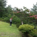 아천교회집 이미지