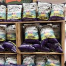 4302 | [공지] 🇺🇸 10,222km 미국 횡단 (17) - 해발 4,302m, 휴대용 산소통 사라는데요? 폭설까지?