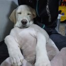 신남케어 이미지