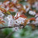 오토블링 부산점 이미지