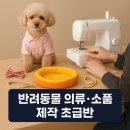 패션디자인(야간) 이미지