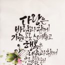 너로 물들다