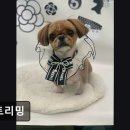 쏭트리밍 이미지