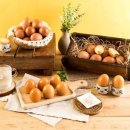 청하 에그린 이미지