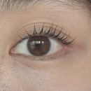 후아뷰티 | 경산 시지 디어마이뷰티 속눈썹펌 후기 👀 연장 하양 정평성당 주차 대학로