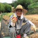 모락모락 감자네