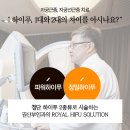 대한하이푸연구회