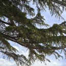 한진 목장 이미지