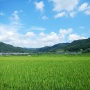 드림목장 이미지