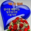 6월16일 금요일 출석부 이미지