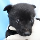 서성일로 이미지