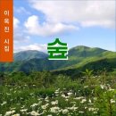 이옥진 시인 시집 『숲』 이미지