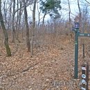 수원팔색길 수원둘레길 이미지