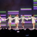 드리밍스타 Daum카페