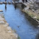 남부종로약국 이미지