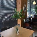 디카페(DCafe)