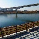 시천목장 이미지