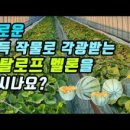 장춘종묘사 네이버블로그