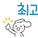 개인화물361