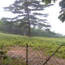 새덕목장 이미지