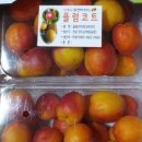 버드네농장 이미지