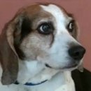 (주)견공 이미지