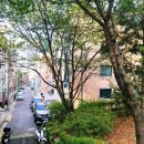CU 청룡산쉼터점 | 서울대입구역 인근 숲세권 원룸 소식과 그 주변 산책로 청룡산 주민텃밭공원에 다녀온 후기