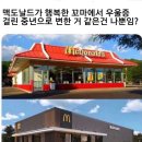 점점 무채색이 되어가는 세상 이미지