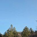 승민칼국수 이미지