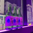 퍼플릭스 이미지