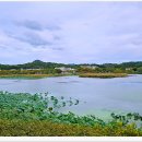 안산 화랑유원지 이미지