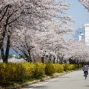 동락공원 자전거대여소(평일_동절기) 이미지