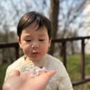 행복이가득한수송어린이집 | 면목동어린이집 하늘채어린이집 만1세 선생님과 까꿍놀이하며 웃음 가득한 하루👀