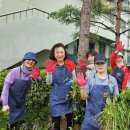 정자1동 행정복지센터 이미지