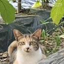 도솔천한의원 | 9월 일상 기록:D