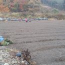 재한농장 이미지