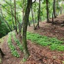 종근농장 이미지