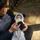 (주)사려니 | 제주 한달살기｜사려니숲길 아기랑 산책, 유모차 가능·소요시간·주 총정리