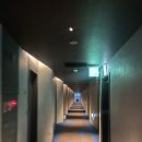 더블유카워시영종도점 | 인천 영종도 호캉스 추천 네스트호텔 슈페리얼 더블 오션뷰 어메니티 숙박 후기
