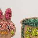 공기정화 스칸디아모스 만들기 이미지