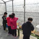 남성 초등학교 병설 유치원 이미지