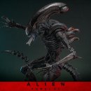 Alien Romulus 이미지